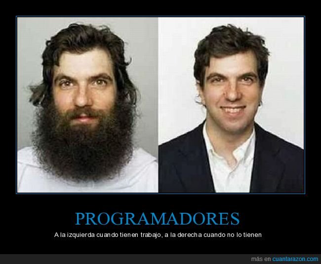 barba,paro,programadores,trabajo