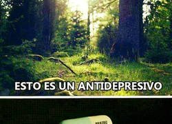 Enlace a Antidepresivos