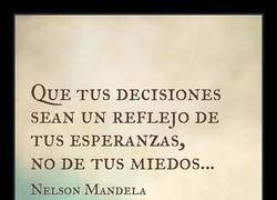 Enlace a Una cita de Nelson Mandela