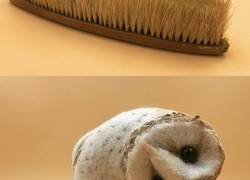 Enlace a Un artista del fieltrado con aguja da nueva vida a viejos cepillos