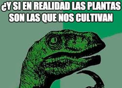 Enlace a ¿Quién cultiva a quién?