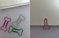 Enlace a Parecían bonitos y lo son