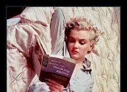 Enlace a Marilyn leyendo en 1956