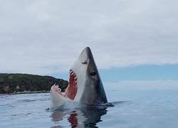Enlace a Consecuencias nefastas para el ecosistema marino
