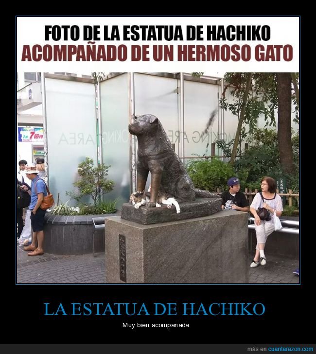 hachiko,estatua,gato