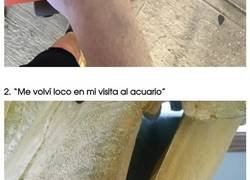 Enlace a Anarquistas del primer mundo que solo quieren ver al mundo arder