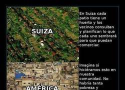 Enlace a Huertos suizos