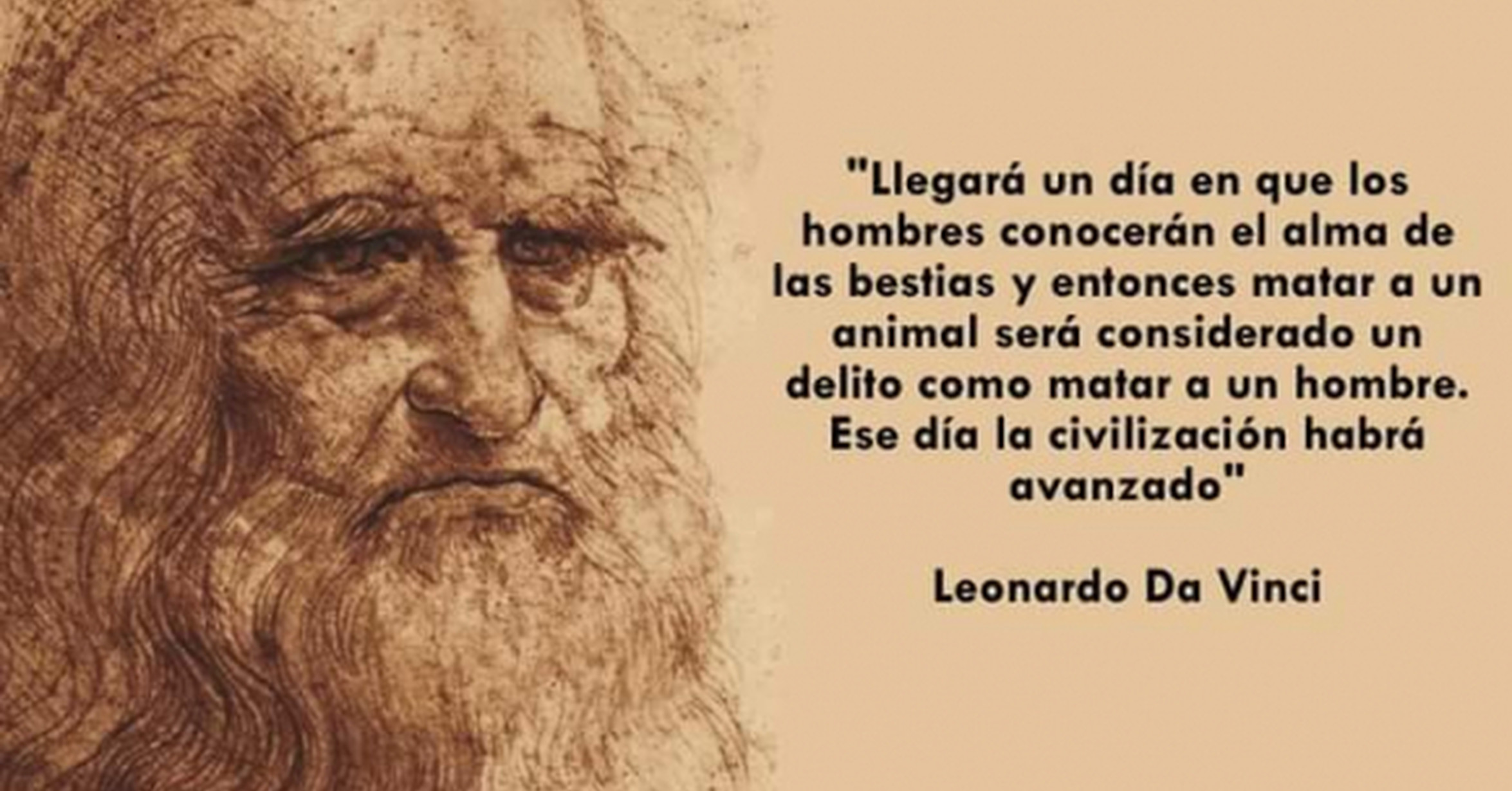 Леонардо да Винчи философия
