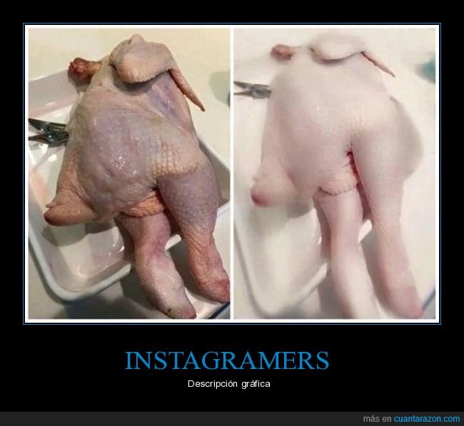 pollo,filtros,instagram
