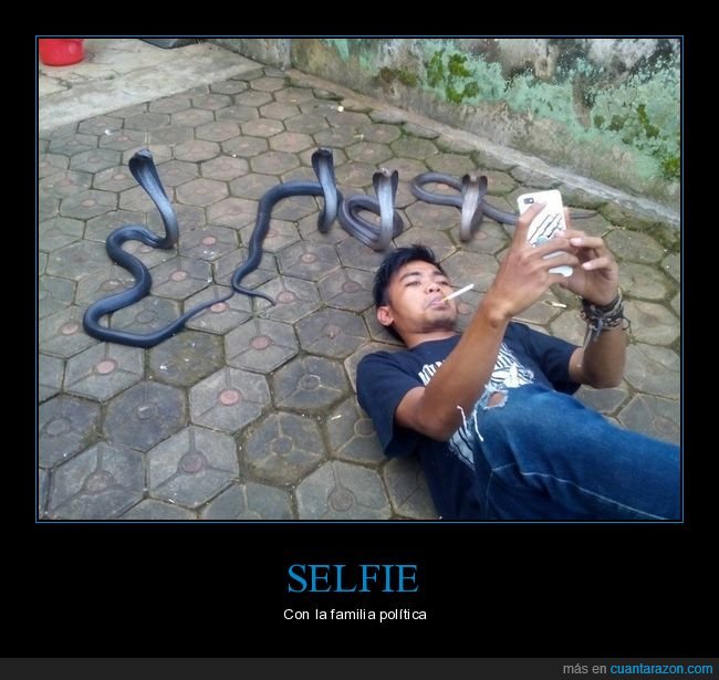 selfie,cobras,wtf