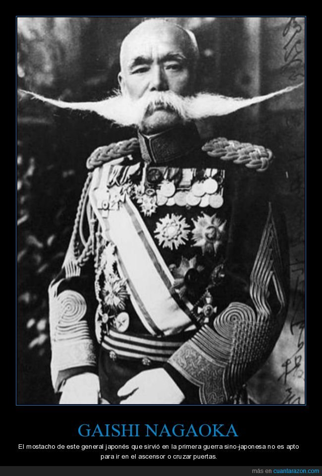 gaishi nagaoka,general,japonés,bigote,wtf
