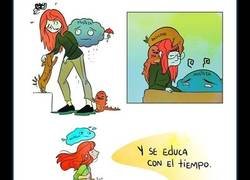 Enlace a Educando a las emociones