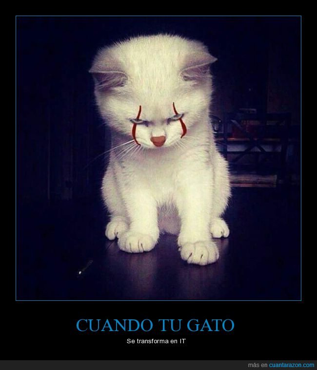 gato,it,pennywise