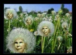 Enlace a ¿Ha ido la ciencia demasiado lejos?