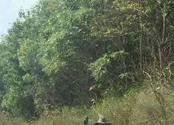 Enlace a Me parece que nos hemos perdido...