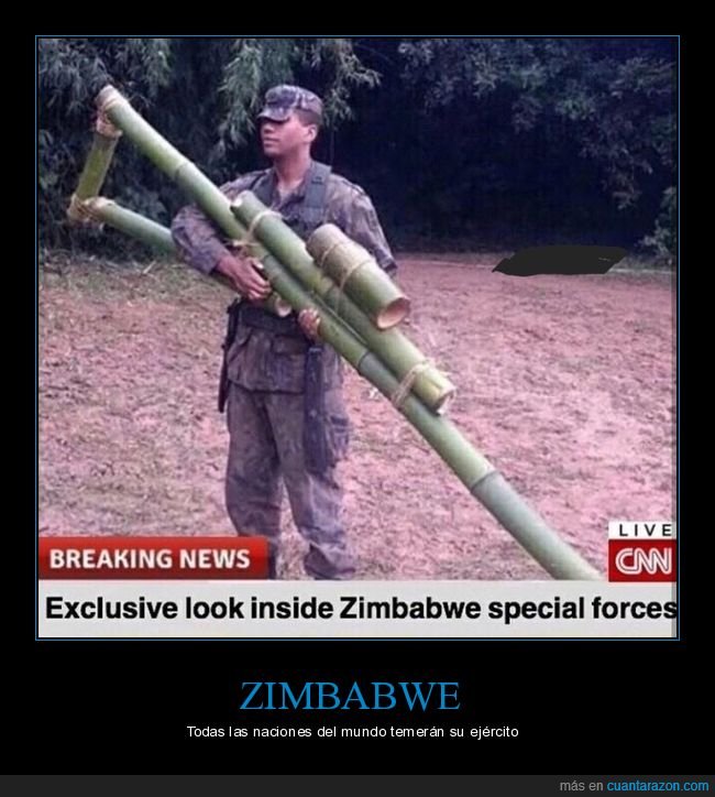 zimbabwe,soldado,cañas,wtf