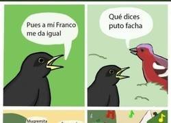 Enlace a Los bellos sonidos de España