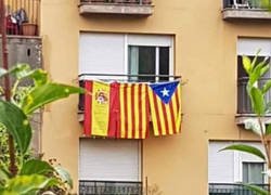 Enlace a Un vecino que quiere llevarse bien con todos