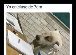 Enlace a La vuelta a clase es dura