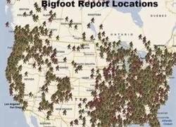 Enlace a Avistamientos de Big Foots