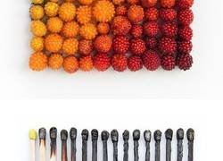 Enlace a Una fotógrafa ordena objetos cotidianos en gradientes de color