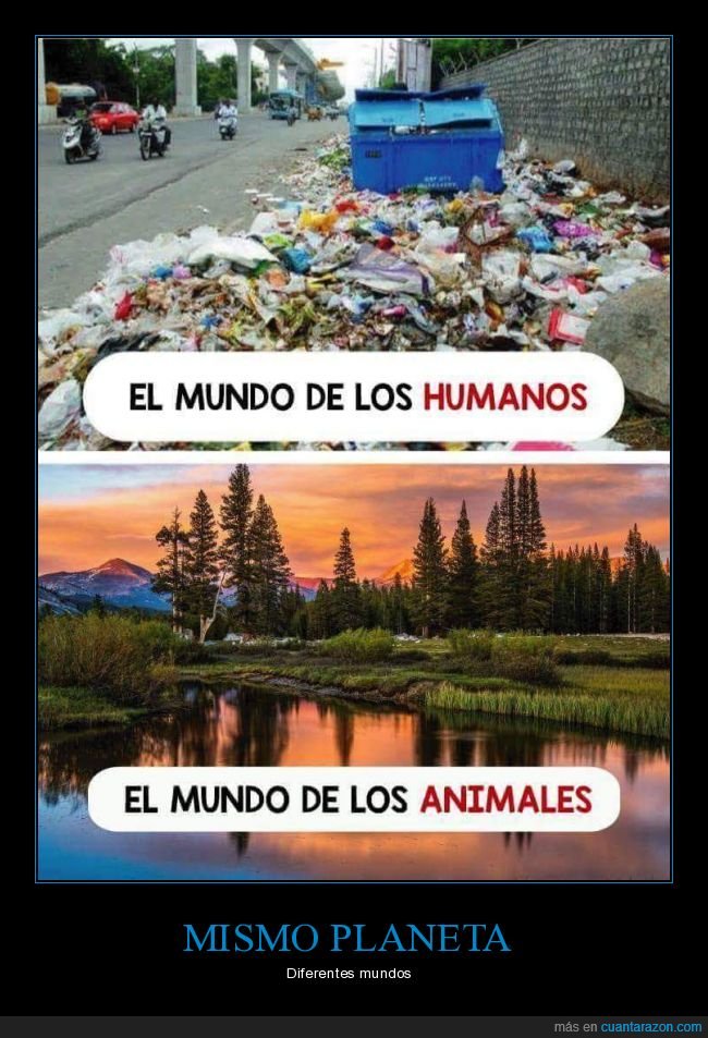 mundo,humanos,animales,basura