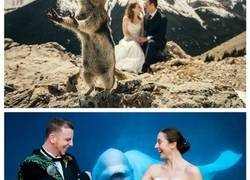 Enlace a La reacción de este oso ante una pareja casándose en el zoo not tiene precio