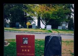 Enlace a Padre e hijo descansando juntos