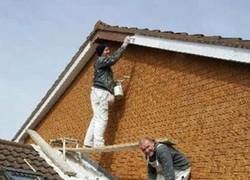 Enlace a Un buen compañero es el que te ofrece su apoyo