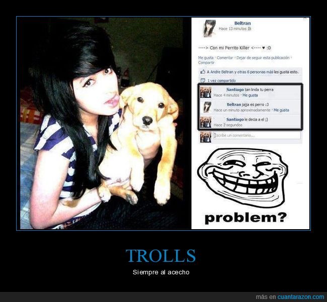 facebook,perra,perro,trolling