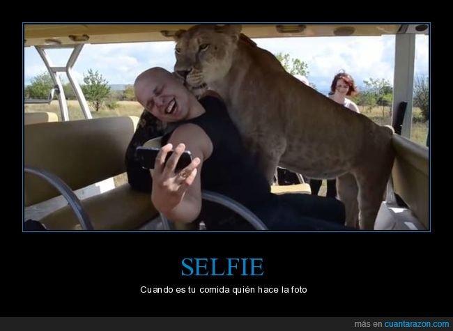 selfie,león