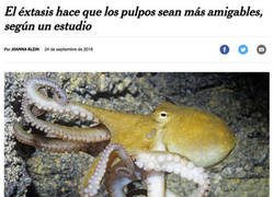 Enlace a Algo que la humanidad necesitaba saber