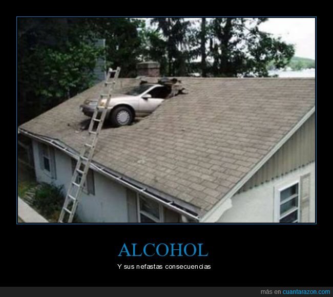 alcohol,tejado,casa,coche,wtf