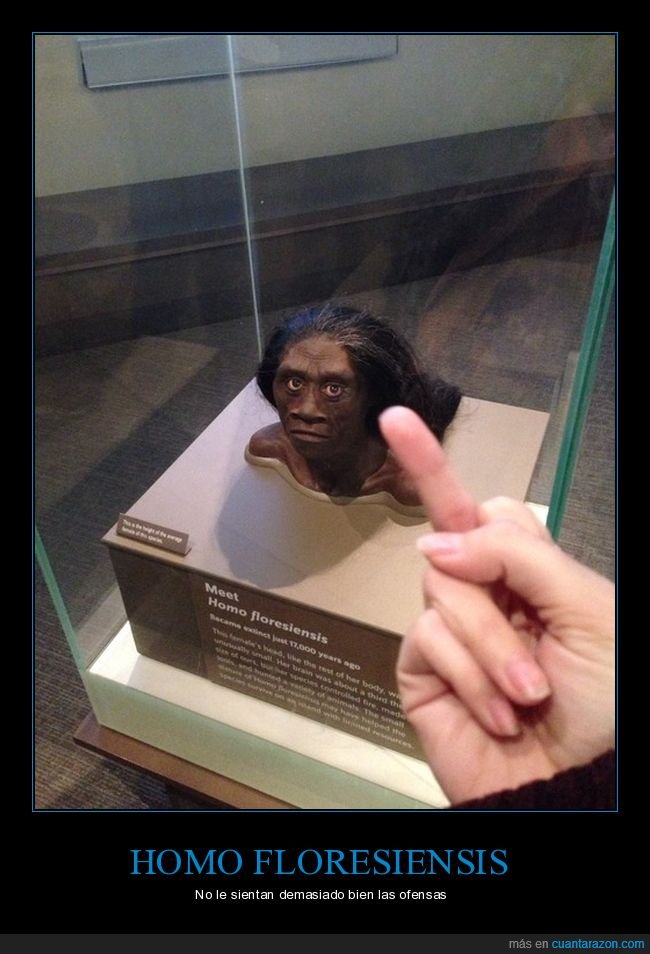 homo floresiensis,dedo,mirando