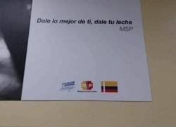 Enlace a Sois unos malpensados