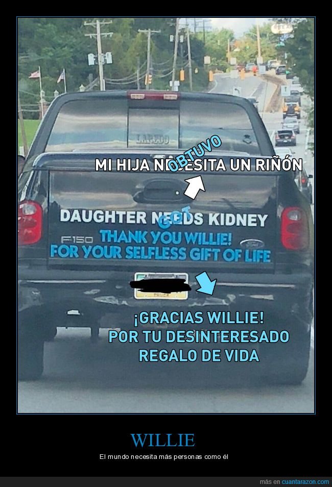 cartel,coche,donante,riñón