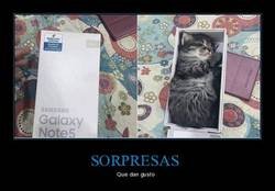 Enlace a No es lo que esperaba, pero estoy satisfecho