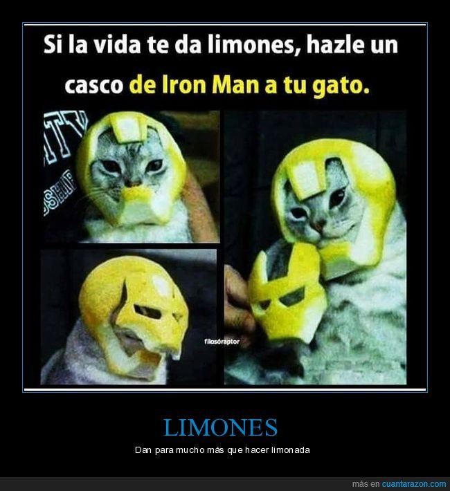 casco,gato,iron man,limones
