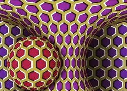 Enlace a No, no es un gif.