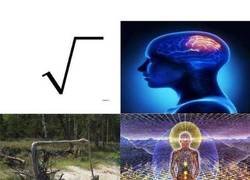 Enlace a La auténtica y original