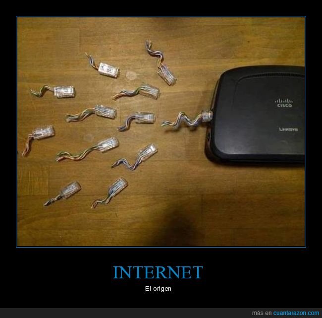 router,espermatozoides,cables