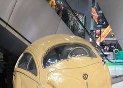 Enlace a Se ha hecho bolita