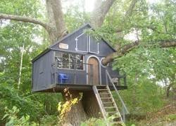 Enlace a Casita en el árbol pro