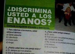 Enlace a Encuesta informativa