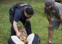 Enlace a Ni siquiera el traje puede protegerle de su furia