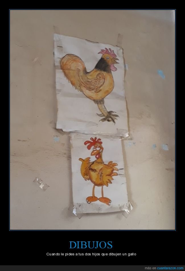 gallo,hijos,dibujos