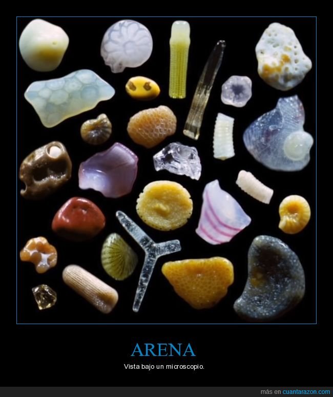 arena,curiosidades,microscopio