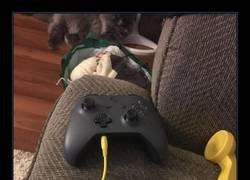 Enlace a Comunicación old school