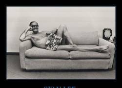 Enlace a Estúpido y sensual Stan Lee...