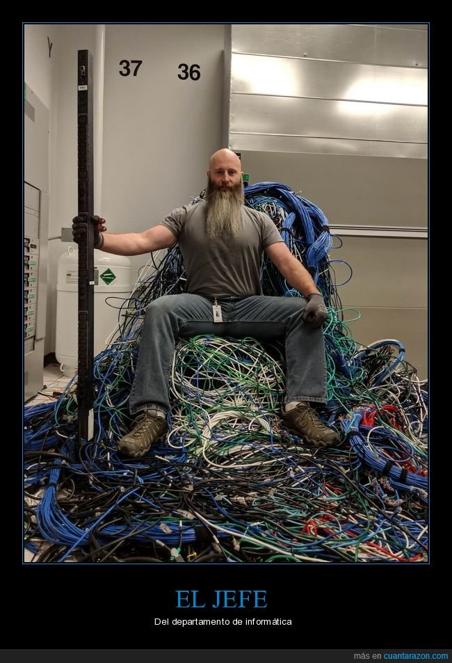 jefe,informática,trono,cables